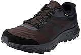 Salomon Herren Trailster 2 Gore-Tex Traillaufschuhe, Phantom/Ebony/Black, 43 1/3 EU