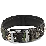 MICHUR Skully Camouflage camo Hundehalsband Leder, Lederhalsband Hund, Halsband, Schwarz Grün, Leder, mit Totenkopf Nieten, in verschiedenen Größ