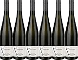 Amalienhof Riesling mit Gewürztraminer Kabinett 2020 (6 x 0.75 l)