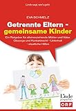 Getrennte Eltern - gemeinsame Kinder:Ein Ratgeber für alleinerziehende Mütter und Väter. Obsorge und Kontaktrecht – Unterhalt – staatliche Hilfen: Ein ... - staatliche Hilfen (Ausgabe Österreich)