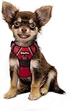 PetiFine Hundegeschirr, kein Ziehen bis zu 9 kg (Halsumfang: 26.5–38 cm, Brustumfang: 35.5–63.5 cm), verstellbar, weich gepolstert, reflektierend, Brustgeschirr für kleine Hunde, R