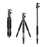 Rollei Rock Solid Gamma Mark II inkl Kugelkopf T3S Carbon, professionelles Kamera Stativ mit 20kg Tragkraft I Ideal für Reise und Naturfotog