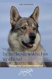 Mein Tschechoslowakischer Wolfhund: Rasseportrait und Erfahrungsb
