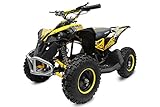 Kinderquad Avenger 1200W 48V | 6' Miniquad Quad ATV Kinderfahrzeug Pocketquad Mini (Blau)