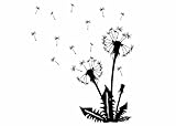 Wandtattooladen Wandtattoo - Pusteblumen-Set (Löwenzahn) Größe:72x110cm Farbe: Schab