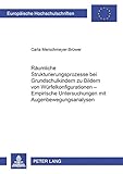 Räumliche Strukturierungsprozesse bei Grundschulkindern zu Bildern von Würfelkonfigurationen – Empirische Untersuchungen mit Augenbewegungsanalysen ... Education / Série 11: Pédagogie, Band 825)