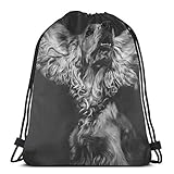 985 Turnbeutel Englischer Cocker Spaniel Hund Gym Sack Kordelzug Verschluss Kordelzugbeutel Rucksack Komisch Zuziehbeutel Für Damen Mädchen 36X42