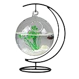 Tischaufhängung Aquarium,Glas Hängende Fischschale,Mini Tisch Aquarium Glas Betta Fischschale Klare Fisch Zylinderschale mit Eisenständer für Büro Wohnkultur (L)