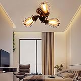 Fensst Industrielle Kronleuchter, Metalldraht, Käfig-Lampe, Deckenleuchte, für Wohnen, Schw