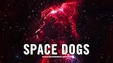 Space Dog