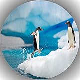 Fondant Tortenaufleger Tortenbild Geburtstag Pinguin T3