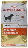 ROYAL CANIN Miniature Schnauzer Junior 1,5 kg, 1er Pack (1 x 1.5 kg)