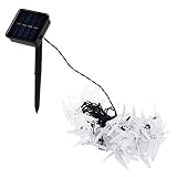 FEBT Dragonfly Lamp String, Auto On Off Solar String Lights 30LEDs Energiesparend für Urlaubsdekoration(#1)