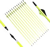 PG1ARCHERY 12 Stück Carbonpfeile 30 Zoll Bogenpfeile Pfeile für Bogen Spine 500 für Recurvebogen und Compoundbog