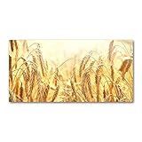 Tulup - Spritzschutz aus Glas für die Küche - 120x60 cm - Küchenrückwand - Küche Herd - Wandanbringung - Küchenrückwand aus Echtglas - Memoboard - Wassertropfen - Blumen & Pflanzen - Beige - G