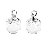 2pcs Mini Flaschen Glasflasche Wishing Glasfläschchen Silber Blumen Kapp