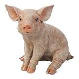 Dehner Dekofigur Schwein, sitzend, ca. 24 x 17 x 23 cm, Polyresin,