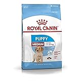 ROYAL CANIN Medium junior, 1er Pack (1 x 1 kg)