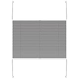 Grandekor Plissee Klemmfix lichtdurchlässig Kinderzimmer, Plisseerollo Jalousien ohne Bohren Sichtschutz & Sonnenschutz Schlafzimmer für Fenster & Tür - 60x130cm(BxH)