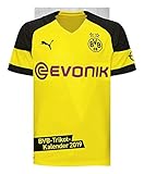 Borussia Dortmund Trikotkalender - Kalender 2019