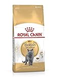 Royal Canin Feline British Shorthair, 1er Pack (1 x 4 kg Beutel)