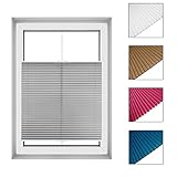 Plissee Premium Pleated blind with Klemmfix | HÖCHSTE QUALITÄT | Faltrollo Jalousie Sichtschutz I Sonnenschutzrollo Rollo [C02 Grau, Breite: 60, Höhe: 150]