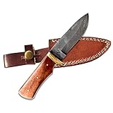 Fellmark Damascus Steel Hunting Knife with Sheath Kratt Scandi Grind Bushcrafting Knife 7.9' Full Tang Camping B