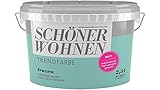 SCHÖNER WOHNEN FARBE Wand- und Deckenfarbe Trendfarbe Frozen, matt, 2,5 l 2 l, F