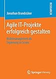 Agile IT-Projekte erfolgreich gestalten: Risikomanagement als Ergänzung zu S