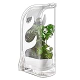 HAC24 Kräuter Frischhaltebox Kunststoff Schnittkräuterbox Kräutercontainer Kräuterbox Küche Kräuterdose Kräuteraufbewahrung Kühlschrank