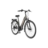 FISCHER E-Bike City CITA 6.0i, Elektrofahrrad, platingrau matt, 28 Zoll, RH 44 cm, Brose Drive C Mittelmotor 50 Nm, 36 V Akku im R