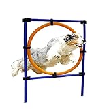 Agility Set Hund für große kleine Hunde anfänger,Springring, Hürdenstange,Slalom-stang