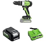 Greenworks Tools Akku-Bohrschrauber GD24DD60 & Akku G24B4 (Packung mit 2) & Doppelsteckplatz-Akku-Universalladegerät G24X2UC2