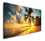 Paul Sinus Art Palmen am Strand 120x 60cm Panorama Leinwand Bild XXL Format Wandbilder Wohnzimmer Wohnung Deko Kunstdruck