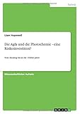 Die Agfa und die Photochemie - eine Risikoinvestition?: Vom Einstieg bis in die 1920er J