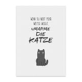 Kunstdruck, Poster mit Spruch – UMARME DIE Katze – Typografie-Bild auf hochwertigem Karton - Plakat, Druck, Print, Wandb