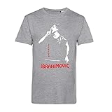 Art T-Shirt, Zlatan Ibrahimovic, Herren, freddie-ts-man-gry-xxl, Grau, freddie-ts-man-gry-xxl XXL