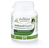 AniForte Weihrauchkapseln für Hunde 100 Stück - Natürliche Gelenktabletten mit Boswelliasäure, Unterstützung der Gelenke & Gelenkfunktion, Weihrauch Tabletten für Hundegelenk