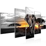 Afrika Elefant Bild Vlies Leinwandbild 5 Teilig Panorama Grau Orange Schlafzimmer Flur 001253