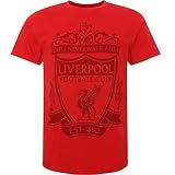 Liverpool FC T-Shirt für Herren (2XL) (Rot/Schwarz)