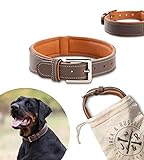 Jack & Russell Halsband Amy - Premium Leder Hunde Halsband echtes Leder Halsband braun Amy (S)