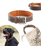 Jack & Russell Halsband Amy - Premium Leder Hunde Halsband echtes Leder Halsband braun Amy (S)