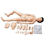 LHMYHHH Mutterschaftskrankenpflege Simulator Multifunktionale Dummy Weibliche Plastikperson Prolaktinist Training Brust Menschliches Anatomisches Modell,Training Lehre Bildung L