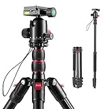 Stativ Kamera 200cm, ROXTAK Aluminum Fotostativ mit Einbeinstativ Monopod und 360° Panorama Kugelkopf, 1/4 Schnellwechselplatte und Stativtasche für Canon Nikon Sony Spiegelreflexk