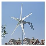 Windrad 400W Windmühle-Stromerzeuger 12V 24V mit Ladungsregler für Zuhause Windgenerator (Color : Free Controller, Specification : 5 Blades)