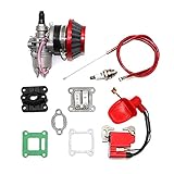 Vergaser Ersatz Pocket Bike 47cc 49cc Motor Vergaser mit Pod Luftfilterkabel 2-Takt für Quad ATV Dirt Bike MiniMoto Go Kart Ansaugkrümmer (Farbe: Rot)