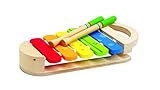 Hape E0302 - Regenbogen Xylop