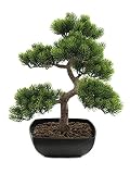 EUROPALMS Bonsai-Pinie, Kunstpflanze, 50cm | Bonsai-Pinie, hervorragend als Tischdeko geeig