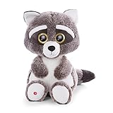 NICI Glubschis: Das Original – Glubschis Waschbär Clooney 45cm – Kuscheltier Waschbär mit großen Augen – Flauschiges Plüschtier mit großen Glitzeraugen – Schmusetier für Kuscheltierliebhab