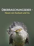 Überraschungseier - Neues von Kuckuck und C